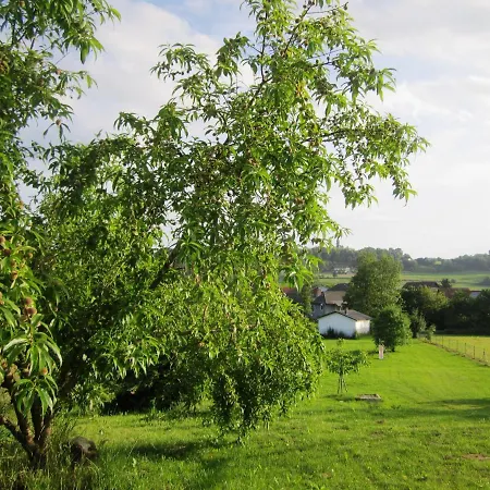 Διαμέρισμα In Loipersdorf/steiermark 39711