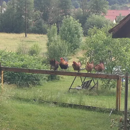 In Loipersdorf/steiermark 39711 Διαμέρισμα *
